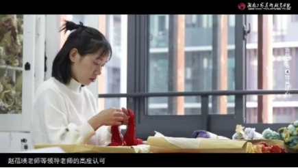 日本人妻与黑人HD