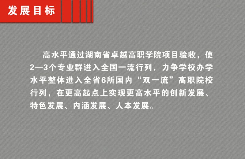 日本人妻与黑人HD