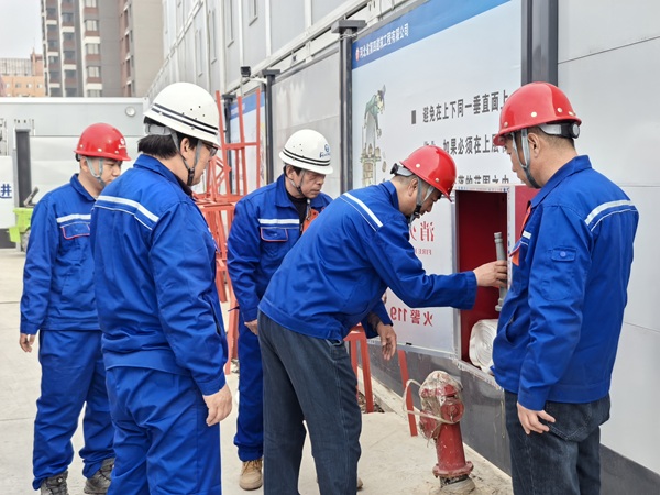 日本人妻与黑人HD