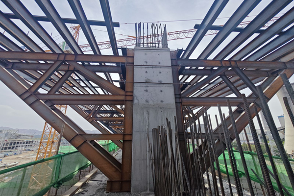 日本人妻与黑人HD