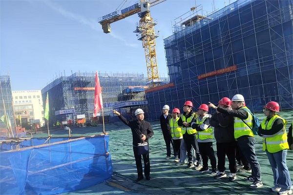 日本人妻与黑人HD