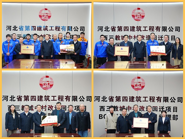 日本人妻与黑人HD