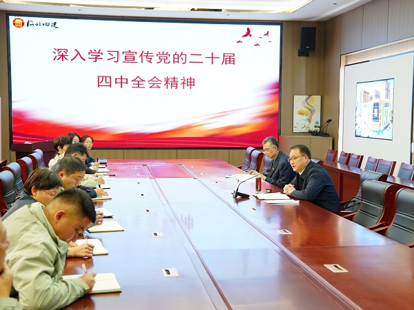 日本人妻与黑人HD