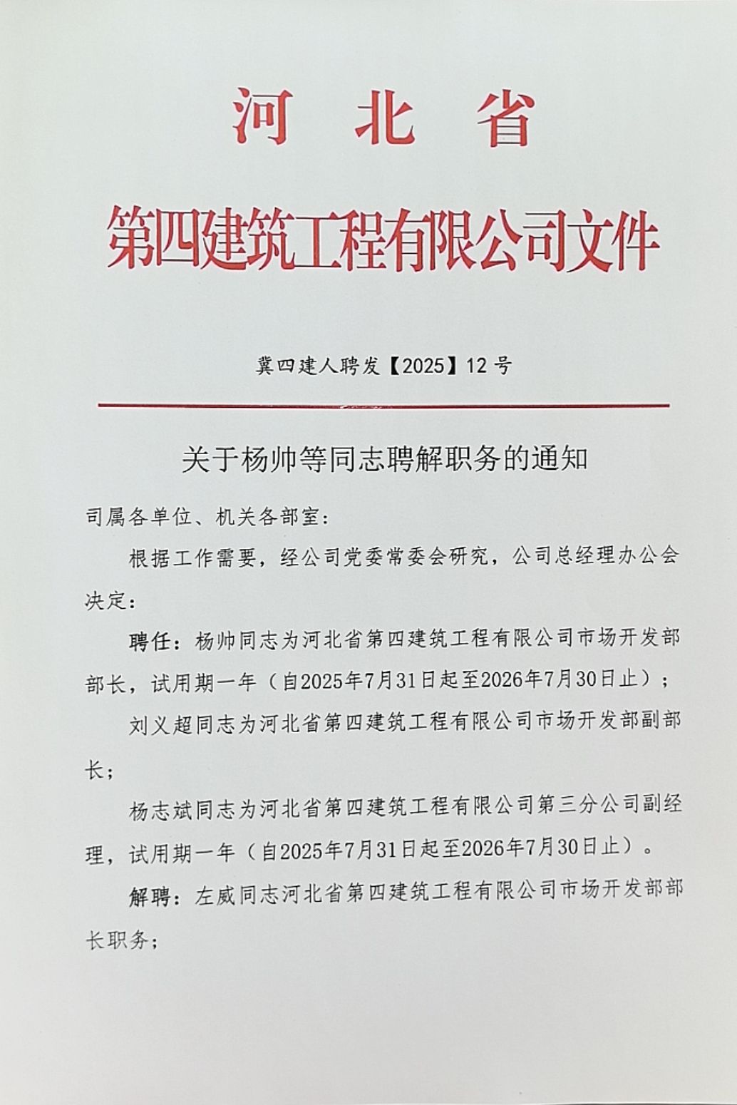 日本人妻与黑人HD