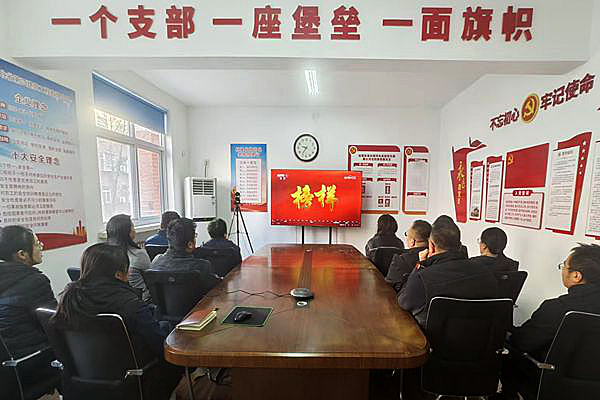 日本人妻与黑人HD