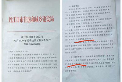 日本人妻与黑人HD