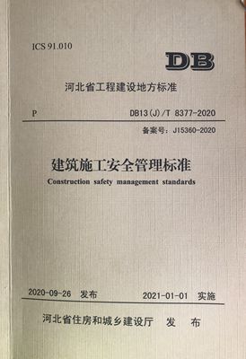 日本人妻与黑人HD