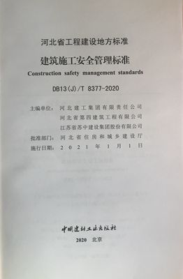 日本人妻与黑人HD
