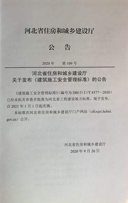 日本人妻与黑人HD