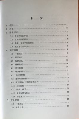 日本人妻与黑人HD
