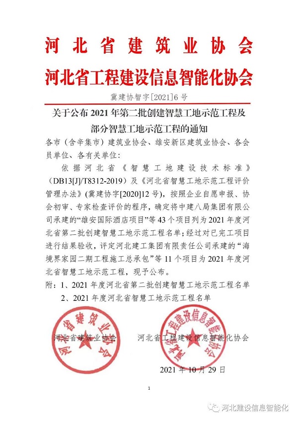 日本人妻与黑人HD