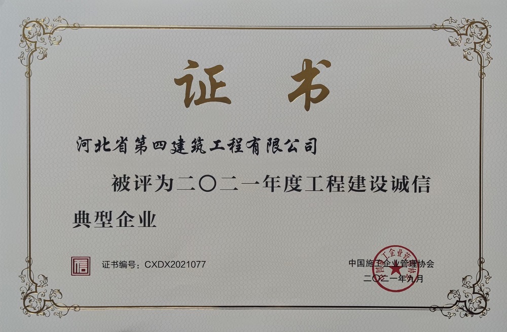 日本人妻与黑人HD