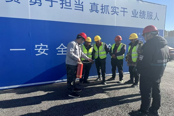 日本人妻与黑人HD