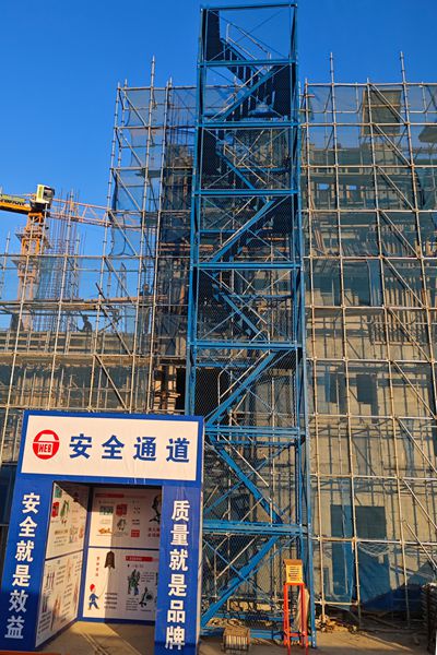 日本人妻与黑人HD