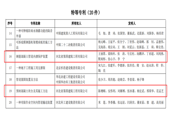 日本人妻与黑人HD