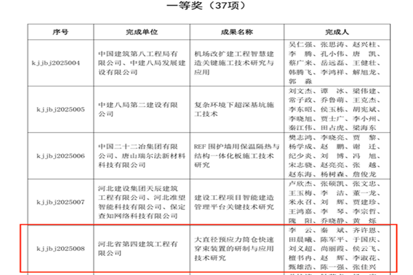 日本人妻与黑人HD