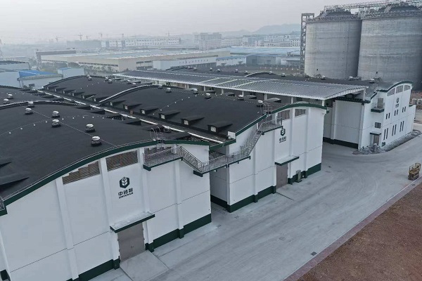 日本人妻与黑人HD